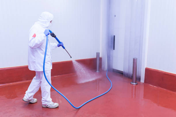 Reliable Woodstock, AL Pressure Washing Services Solutions